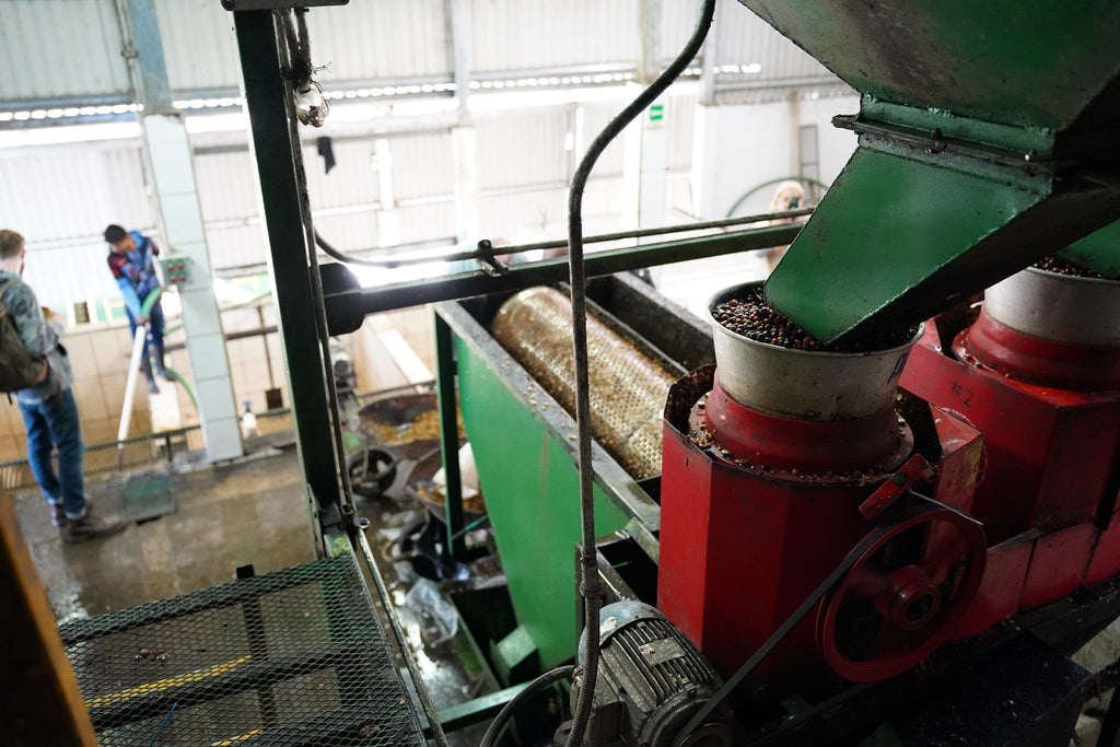 The Economics of Taste: How Cupping Scores Impact Coffee Prices