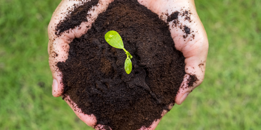 What Can I Do With My Leftover Coffee and Coffee Grounds?