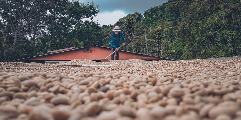 What's the Difference Between an Origin and a Blend?