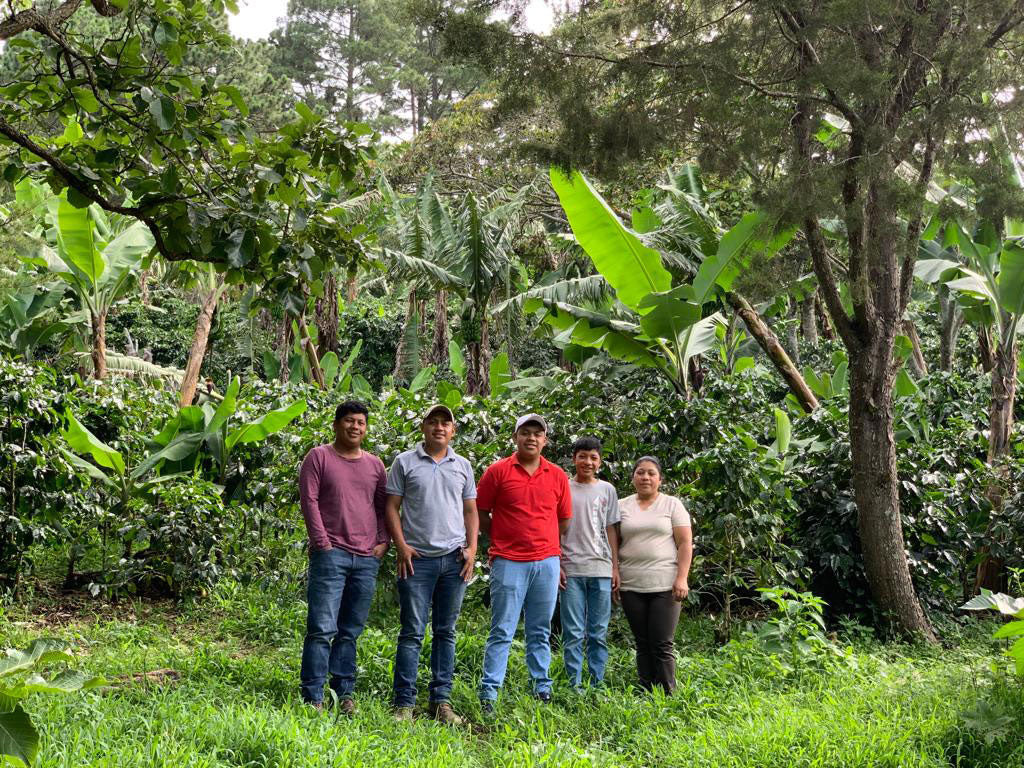 Where is Jocsan Today?